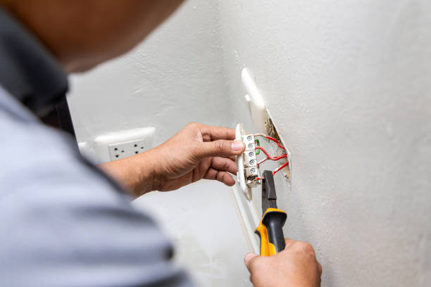 Best Electric Panel Repair  in Arial, SC